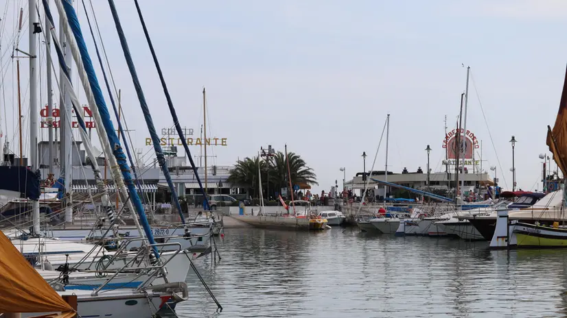 Il green pass mostrato sia in spiaggia che fuori dai ristoranti a Riccione, 13 agosto 2021. ANSA/BASILIETTI
