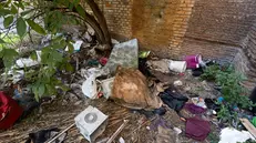 Il luogo dove è stato rinvenuto il cadavere di una donna a in via del Mandrione. Roma, 21 luglio 2025 ANSA/MASSIMO PERCOSSI