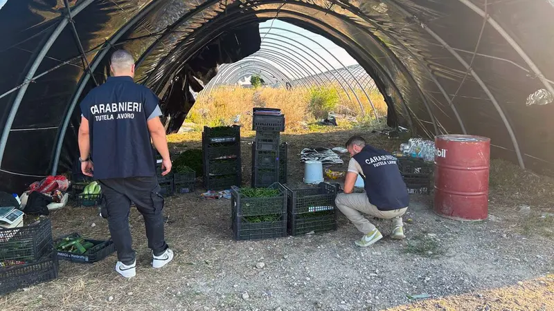 Le condizioni in cui lavoravano i braccianti
