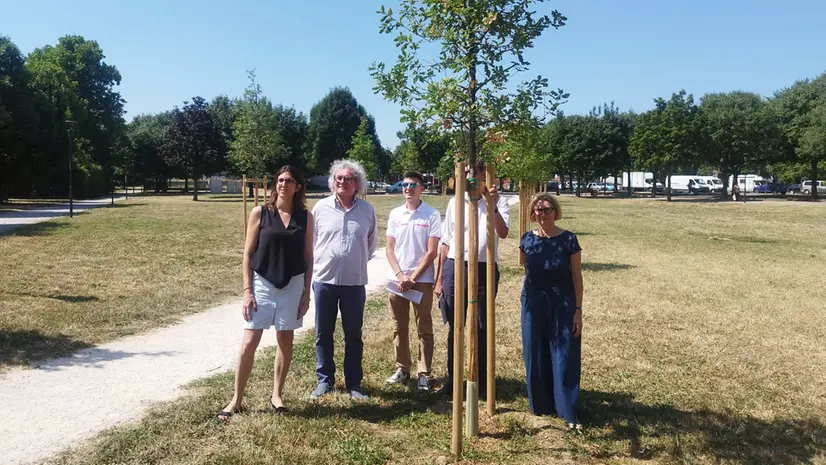 Uno degli alberi piantati - © www.giornaledibrescia.it