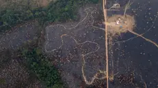 epa11599484 An aerial photograph shows a section of the GuajarÃ¡ Mirim State Park damaged from fire, in Nova MamorÃ©, Brazil, 11 September 2024. Wildfires have burned 6,718,025 hectares of the Brazilian Amazon since the beginning of the year, representing 1.6 percent of the biome, according to government data released on September 10. EPA/Isaac Fontana