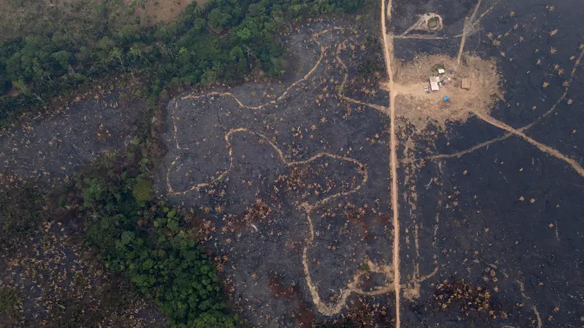 epa11599484 An aerial photograph shows a section of the Guajará Mirim State Park damaged from fire, in Nova Mamoré, Brazil, 11 September 2024. Wildfires have burned 6,718,025 hectares of the Brazilian Amazon since the beginning of the year, representing 1.6 percent of the biome, according to government data released on September 10. EPA/Isaac Fontana