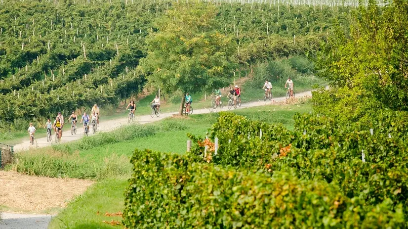 Molti gli appuntamenti anche per gli sportivi