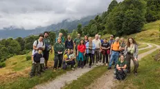 Nel verde alla riscoperta delle erbe selvatiche - © www.giornaledibrescia.it