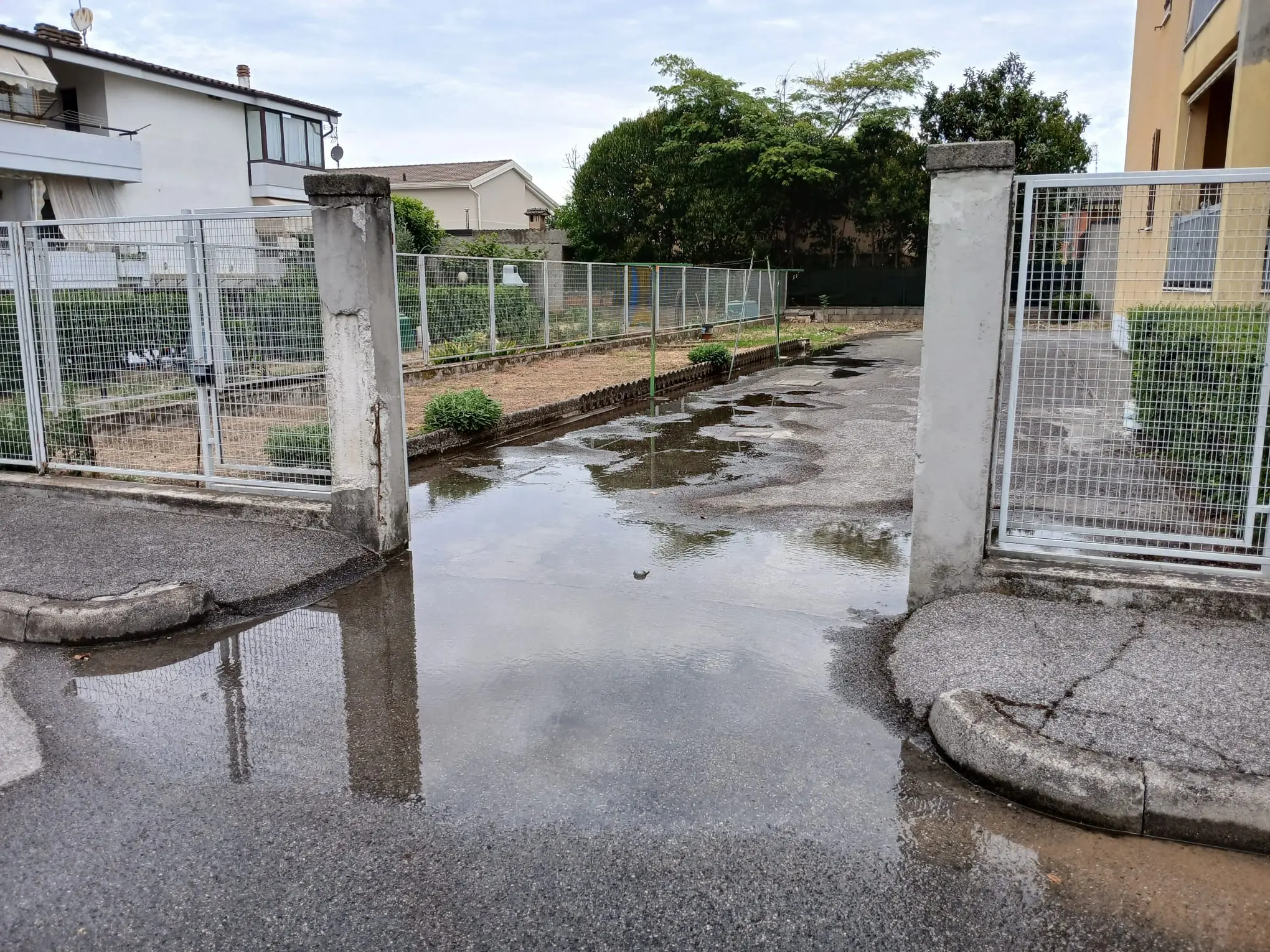 Ghedi, perdite di acqua da un tombino in via Porcellaga