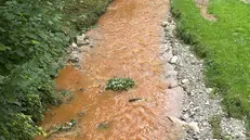 A Caino il Garza si trasforma in un fiume marrone e maleodorante