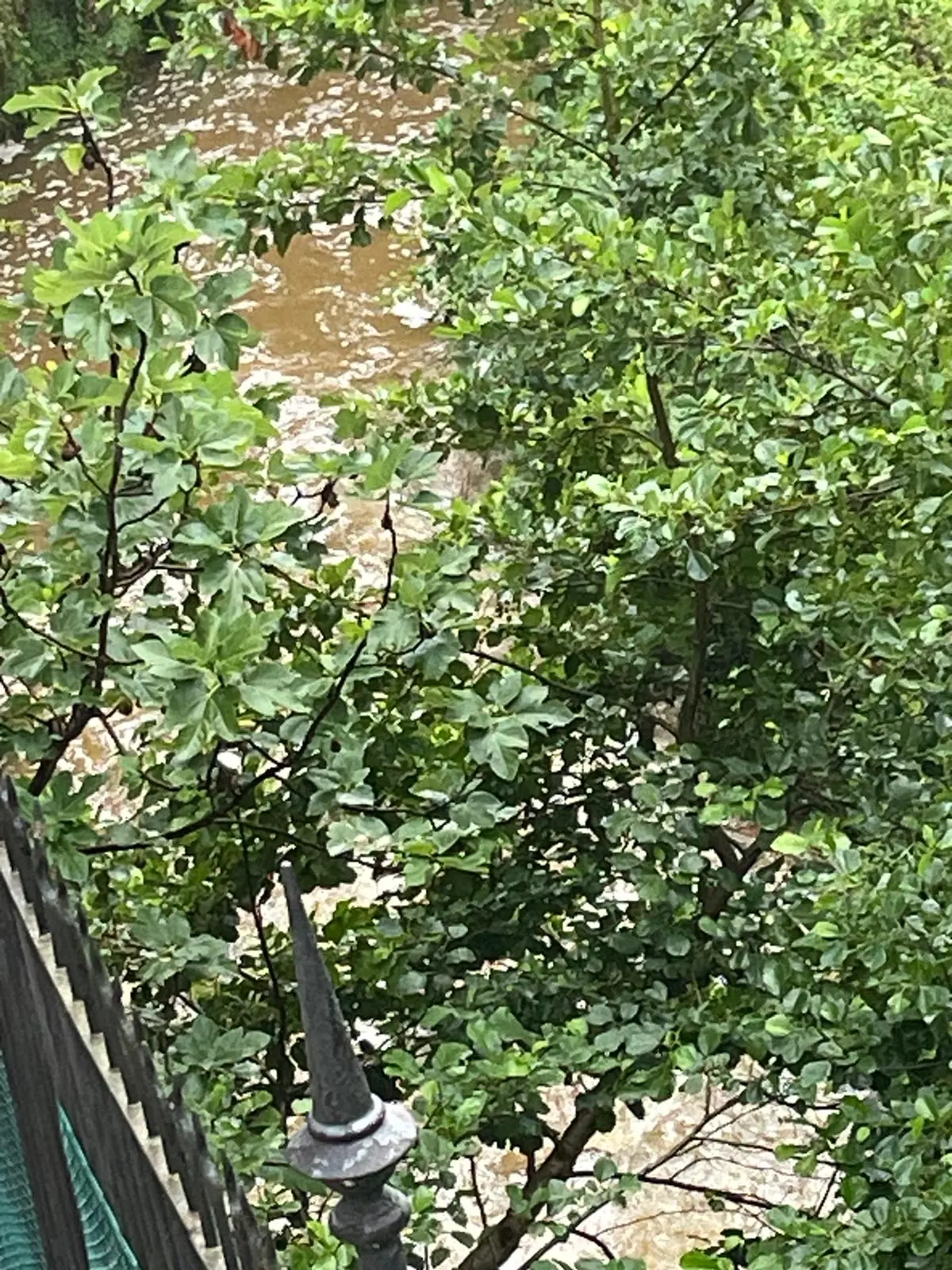 A Caino il Garza si trasforma in un fiume marrone e maleodorante
