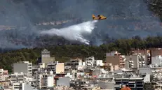 epa12268731 A firefighting airplane tries to extinguish a wildfire on Ymittos mountain, east of Athens, Greece, 28 July 2025. The wildfire burning scrub and low vegetation is in remission, according to an update by the Fire Department. EPA/ORESTIS PANAGIOTOU