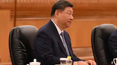 epa12238498 Chinese President Xi Jinping meets with Australian Prime Minister Anthony Albanese (not pictured) at the Great Hall of the People in Beijing, China, 15 July 2025. Albanese is in China for a six-day official visit. EPA/LUKAS COCH NO ARCHIVING AUSTRALIA AND NEW ZEALAND OUT