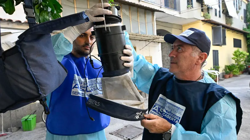 Operatori della Asl di Caserta impegnati nell'installazione di trappole per le zanzare Culex responsabili del contagio sull'uomo del West Nile, Caserta, 24 luglio 2025 ANSA / CIRO FUSCO