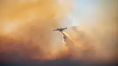 epa12193968 A Canadair plane in action during the firefighting operation on Chios island, Greece, 24 June 2025. Minister of Climate Crisis and Civil Protection Yannis Kefalogiannis visited Chios amid five separate wildfires. He warned that the simultaneous fires in different parts of the island suggest possible organized criminal activity and are unlikely to be accidental. EPA/KOSTAS KOURGIAS