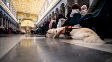 Faithfuls attends in the Holy Mass for the Jubilee of Persons with Disabilities in the Basilica of Saint Paul Outside the Walls, in Rome, Italy, Vatican, 28 April 2023. ANSA/ANGELO CARCONI
