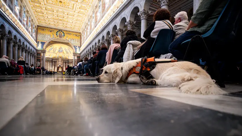 Faithfuls attends in the Holy Mass for the Jubilee of Persons with Disabilities in the Basilica of Saint Paul Outside the Walls, in Rome, Italy, Vatican, 28 April 2023. ANSA/ANGELO CARCONI
