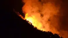 Un vasto incendio è divampato in serata sulla collina di Montecorvo a Forio d'Ischia, 04 agosto 2017. Le fiamme, spinte dal vento, si sono estese in breve tempo minacciando le zone dei Frassitelli, della Falanga e quella abitata di Santa Maria al Monte alle pendici del Monte Epomeo. Le fiamme molto alte, visibili da vari punti dell'isola, stanno avvolgendo sempre più alberi e vegetazione. ANSA/AUGUSTO COPPOLA