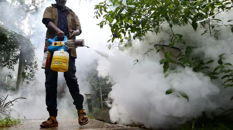 Una disinfestazione contro la zanzara che trasmette il virus West Nile - Foto Ansa © www.giornaledibrescia.it