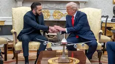 epa12032003 US President Donald Trump (R) meets with El Salvador President Nayib Bukele (L) in the Oval Office at the White House in Washington, DC, USA, 14 April 2025. President Bukele meets with President Trump as controversy continues over the Trump administration's transfer of more than 200 Venezuelan immigrants accused of gang activity and violent crimes to a prison in El Salvador. EPA/KEN CEDENO / POOL