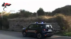 Auto Carabinieri Foggia generica