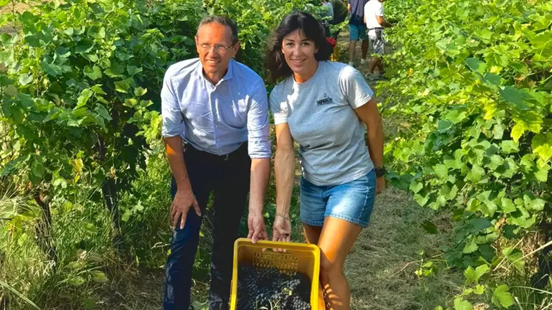 Vimercati e Gozio durante la vendemmia lo scorso anno - © www.giornaledibrescia.it
