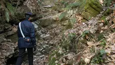 Ricerche nel bosco - © www.giornaledibrescia.it