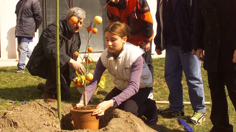 La piantumazione del kaki di Nagasaki al Santa Giulia nel 2001 - © www.giornaledibrescia.it
