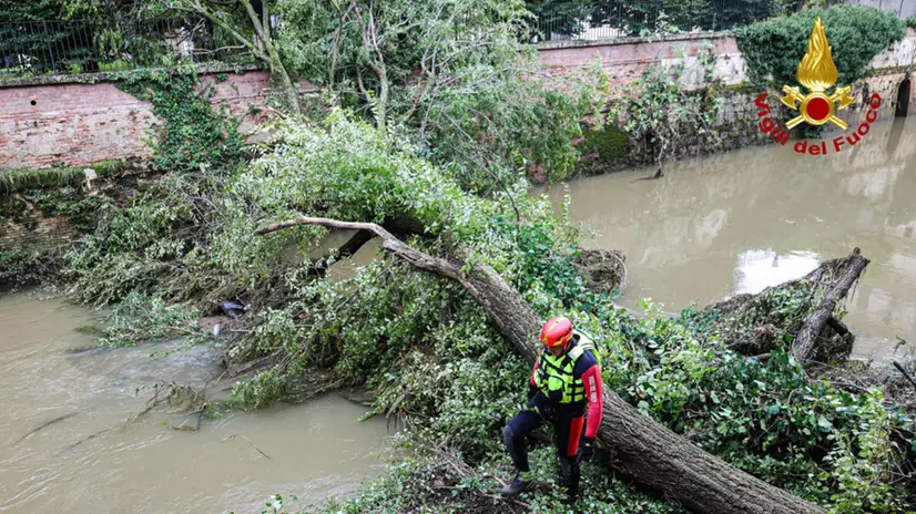 VICENZA, VIGILI DEL FUOCO AL LAVORO PER RIMOZIONE DI TRE ALBERI DI TRAVERSO LUNGO IL RETRONE
