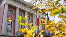 Ambasciata italiana a Berlino