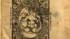 L'erasmo. Il simbolo della sirena nel 1537 - © www.giornaledibrescia.it