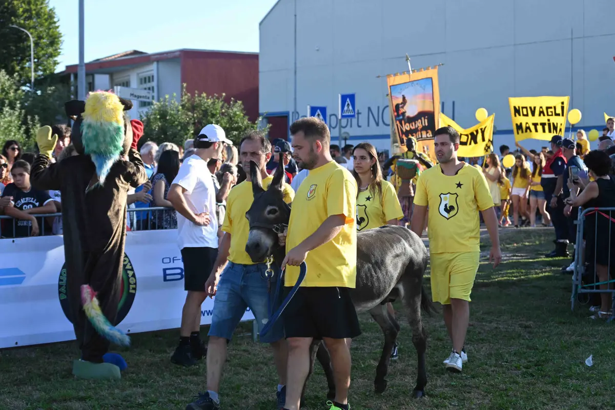 La 44esima edizione del Palio degli asini di Novagli