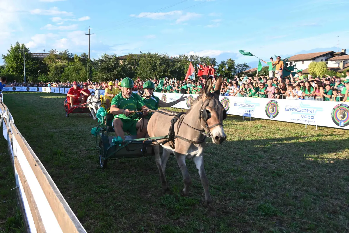 La 44esima edizione del Palio degli asini di Novagli