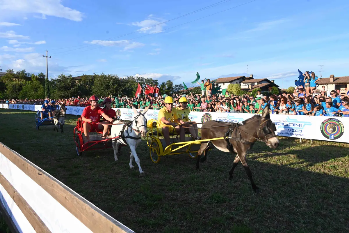 La 44esima edizione del Palio degli asini di Novagli