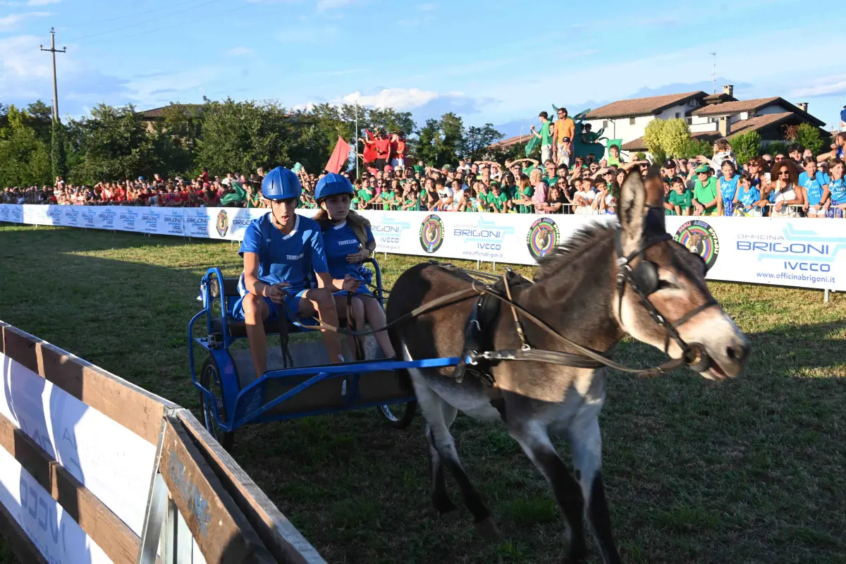 La 44esima edizione del Palio degli asini di Novagli