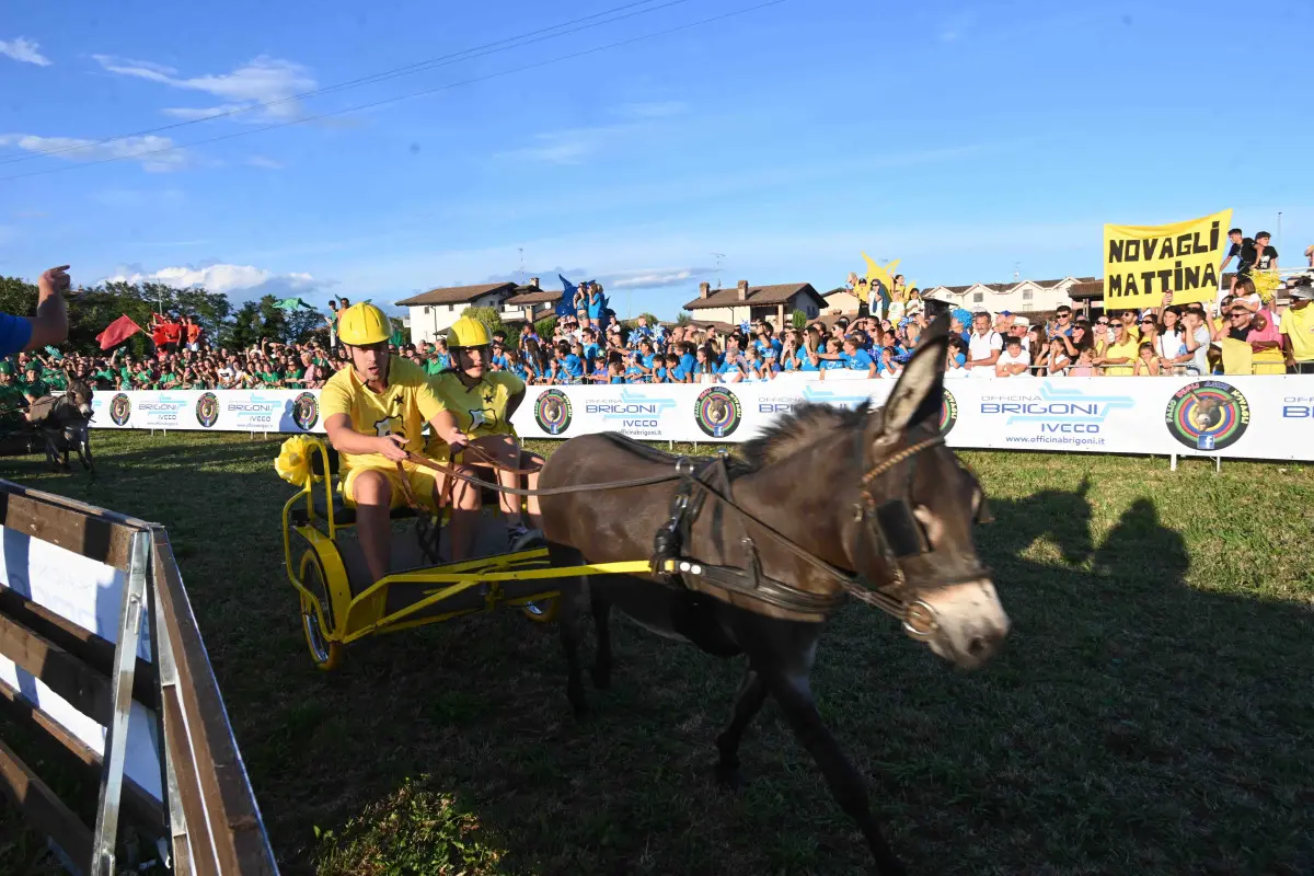 La 44esima edizione del Palio degli asini di Novagli