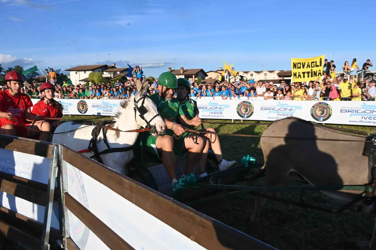 La 44esima edizione del Palio degli asini di Novagli