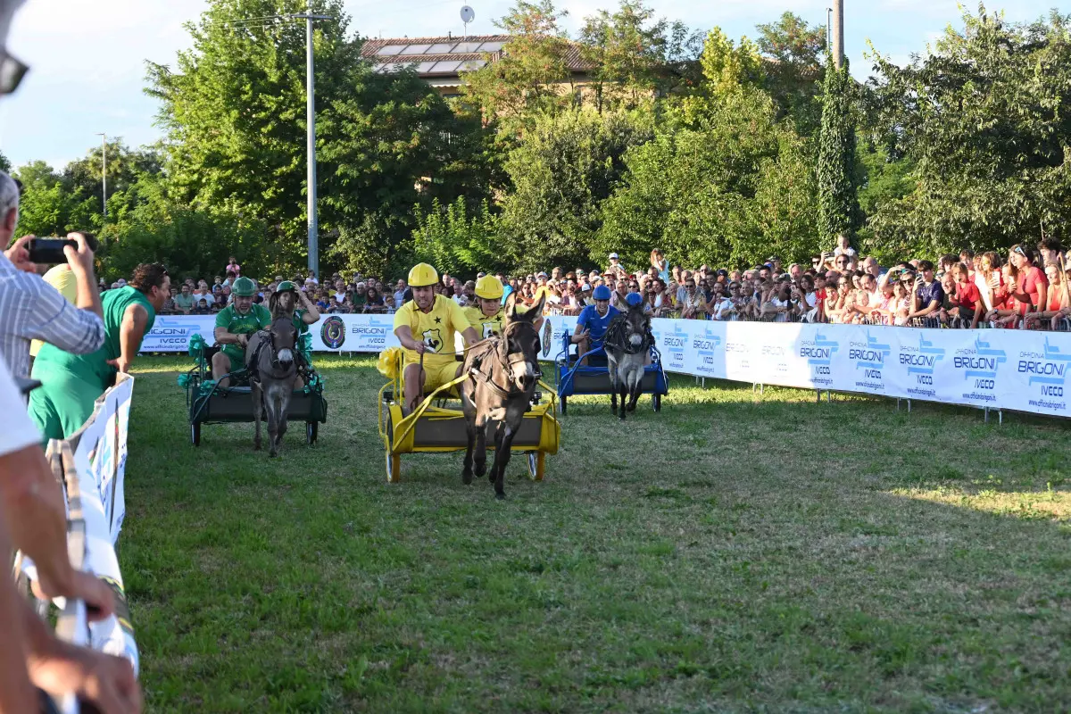 La 44esima edizione del Palio degli asini di Novagli