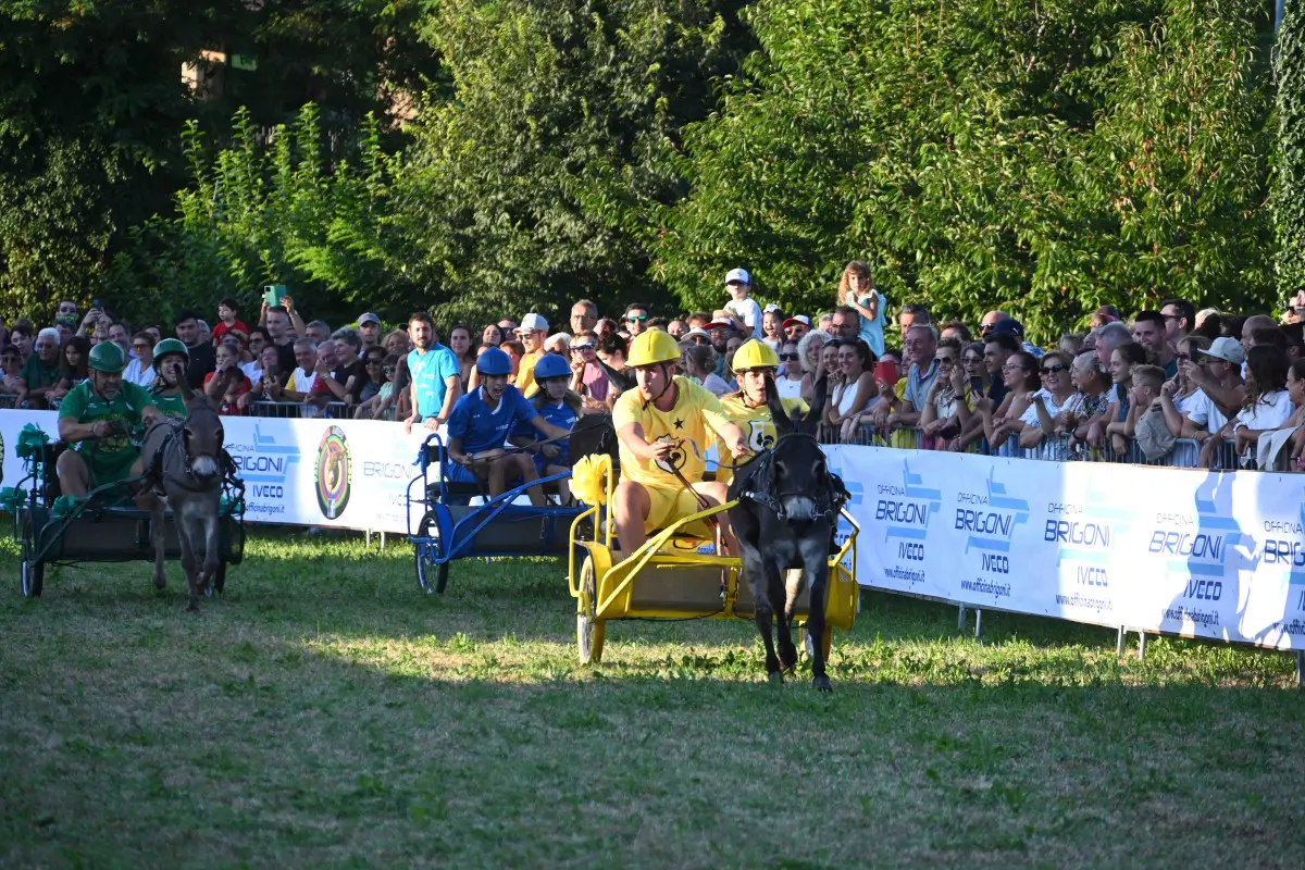 La 44esima edizione del Palio degli asini di Novagli