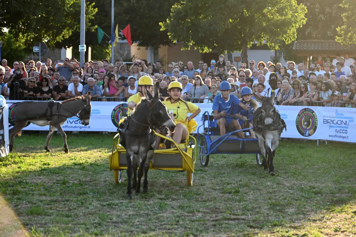La 44esima edizione del Palio degli asini di Novagli