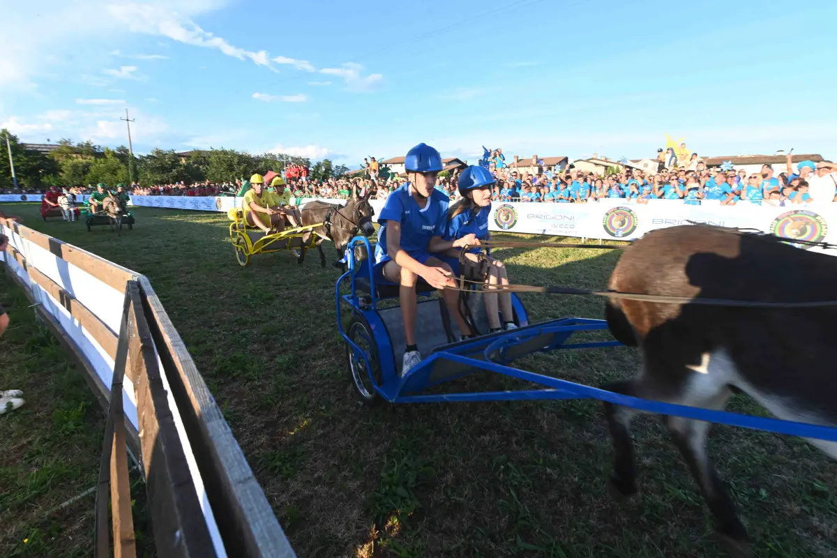 La 44esima edizione del Palio degli asini di Novagli