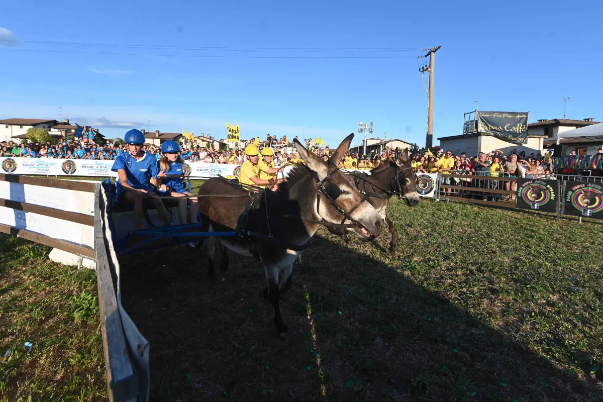 La 44esima edizione del Palio degli asini di Novagli