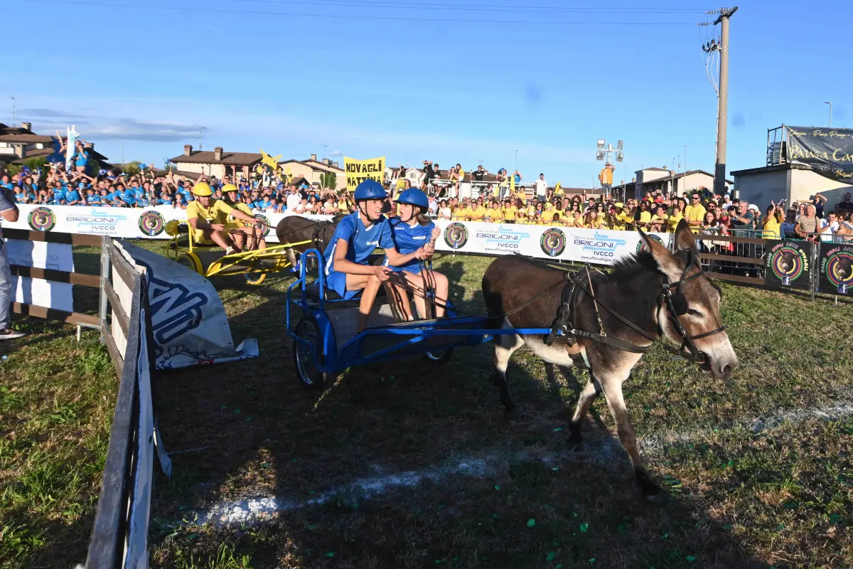 La 44esima edizione del Palio degli asini di Novagli