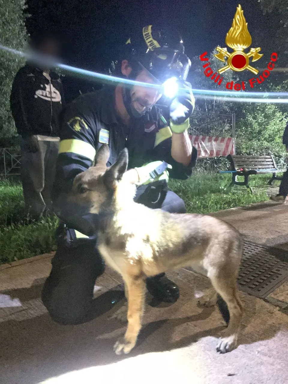 Il cane recuperato dai Vigili del fuoco