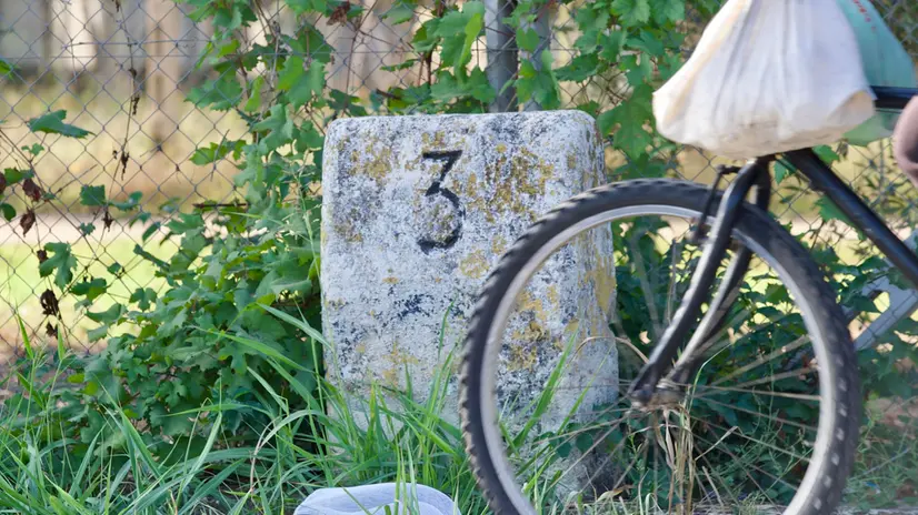 Una bicicletta dopo essere stata travolta da un'auto pirata a Cisterna di Latina, 11 ottobre 2023. ANSA/ DAVID NICOLO' (Ruota, bicicletta, incidente, incidenti, investito, auto pirata, bici, simbolica, generica)