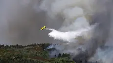 epa12273201 A firefighting airplane drops water during a forest fire in Santa Eulalia, Arouca, Portugal, 30 July 2025. The fire that has been raging in Arouca, in the district of Aveiro, has three active fronts and has already reached the parish of Santa Eulalia, the local authority said. EPA/ESTELA SILVA