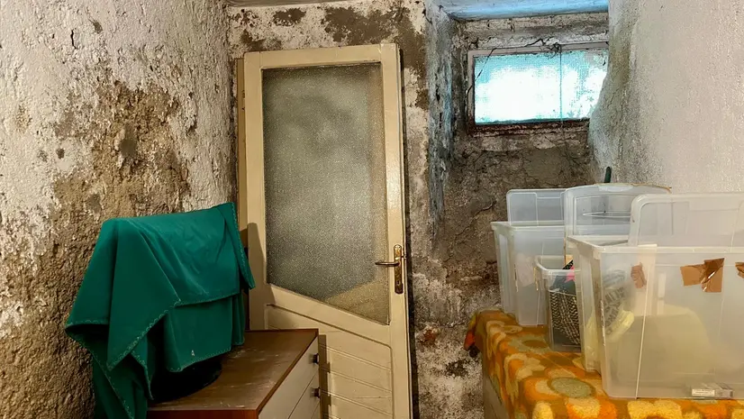 La muffa ha rivestito anche le cantine - © www.giornaledibrescia.it
