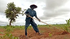L'intesa tra Etiopia e Italia favorirà la pesca e l'agricoltura - Foto Ansa © www.giornaledibrescia.it