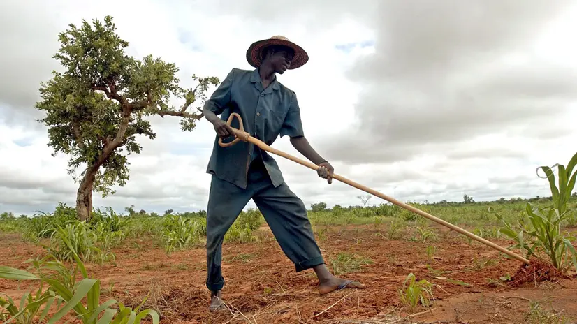 L'intesa tra Etiopia e Italia favorirà la pesca e l'agricoltura - Foto Ansa © www.giornaledibrescia.it