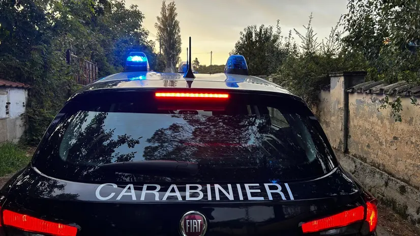 Operazione antidroga tra Modena e Roma. Su disposizione della Direzione Distrettuale Antimafia della Capitale, nelle province di Modena e Roma, i carabinieri della compagnia di Tivoli stanno eseguendo un'ordinanza, emessa dal gip, che dispone la misura della custodia cautelare in carcere nei confronti di 9 persone, di cui 7 italiani e 2 di nazionalità albanese, accusati di essere i promotori e membri di un'associazione per delinquere finalizzata al traffico di sostanze stupefacenti, di detenzione e porto abusivo di armi. Le indagini dei carabinieri, avviate nel 2021, hanno accertato l'esistenza di un'articolata organizzazione criminale dedita allo spaccio di droga nei comuni di Tivoli e Guidonia Montecelio, dove promotori dell'associazione avevano messo a punto una struttura logistica di smercio dello stupefacente, assegnando compiti specifici ai singoli partecipi che avevano anche la disponibilità di armi, tanto da accaparrarsi anche l'egemonia di una piazza di spaccio a Favale di Tivoli. Tra gli indagati anche una donna 79enne, italiana, accusata di aver nascosto in casa parte dello stupefacente e somme di denaro. I 'summit' per la gestione dell'attività illecita, avvenivano all'interno di un pollaio, luogo ritenuto sicuro per eludere eventuali intercettazioni. ANSA/CARABINIERI ANSA PROVIDES ACCESS TO THIS HANDOUT PHOTO TO BE USED SOLELY TO ILLUSTRATE NEWS REPORTING OR COMMENTARY ON THE FACTS OR EVENTS DEPICTED IN THIS IMAGE; NO ARCHIVING; NO LICENSING NPK