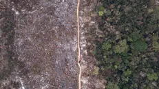 epa11599482 An aerial photograph shows a section of the GuajarÃ¡ Mirim State Park damaged from fire, in Nova MamorÃ©, Brazil, 11 September 2024. Wildfires have burned 6,718,025 hectares of the Brazilian Amazon since the beginning of the year, representing 1.6 percent of the biome, according to government data released on September 10. EPA/Isaac Fontana