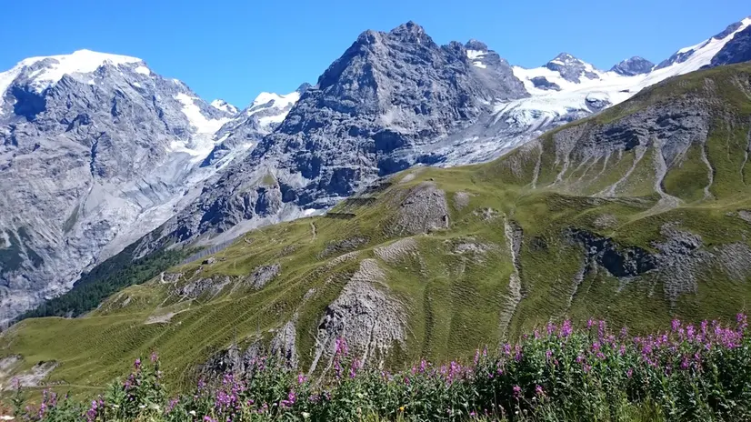 Bolzano - Finanziato il progetto per lo sviluppo del Parco dello Stelvio. Due nuove Alte vie fra Ortles e Val Martello, valorizzazione dei prodotti agricoli locali.