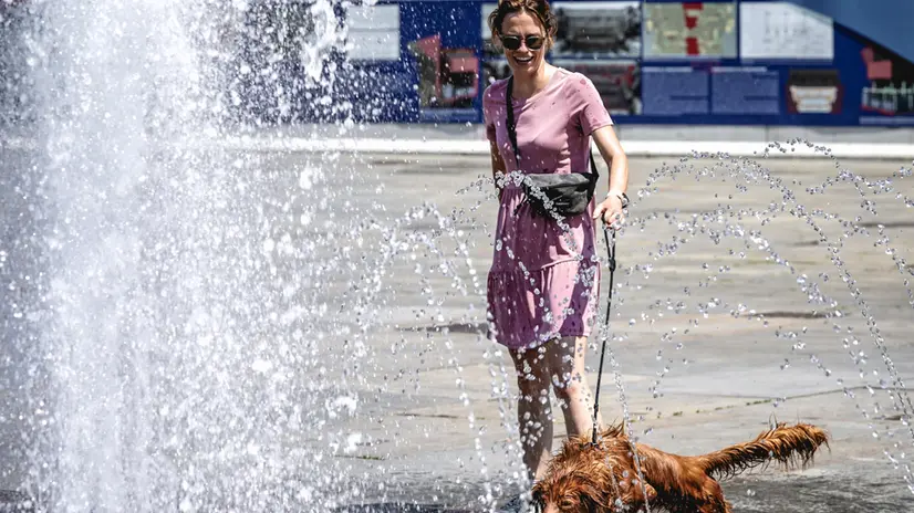 Emergenza caldo, una donna rinfresca il suo cane nella fontana di piazza Castello. Torino 01 luglio 2025 ANSA/TINO ROMANO