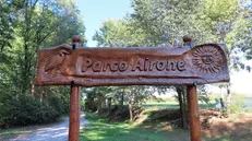 Il parco Airone - © www.giornaledibrescia.it